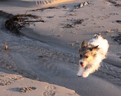 beaches2