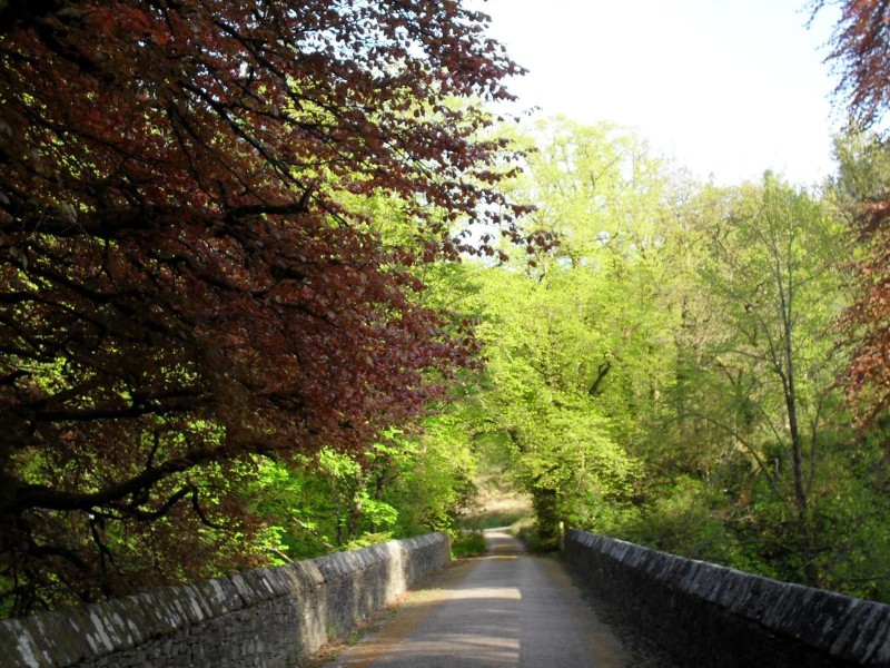 Bridge
