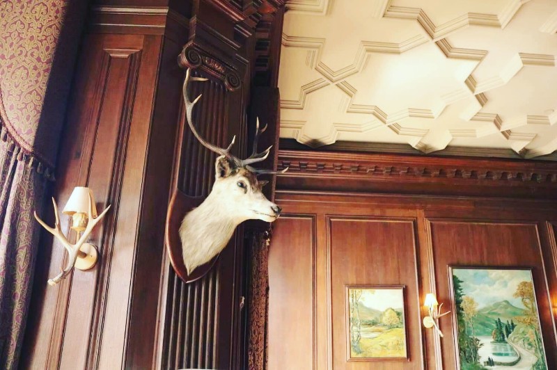 Stagshead
