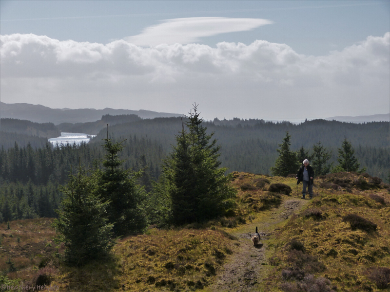 Ascent-of-Cruach-Mor-Dunardy-Copyright-Heathery-Heights