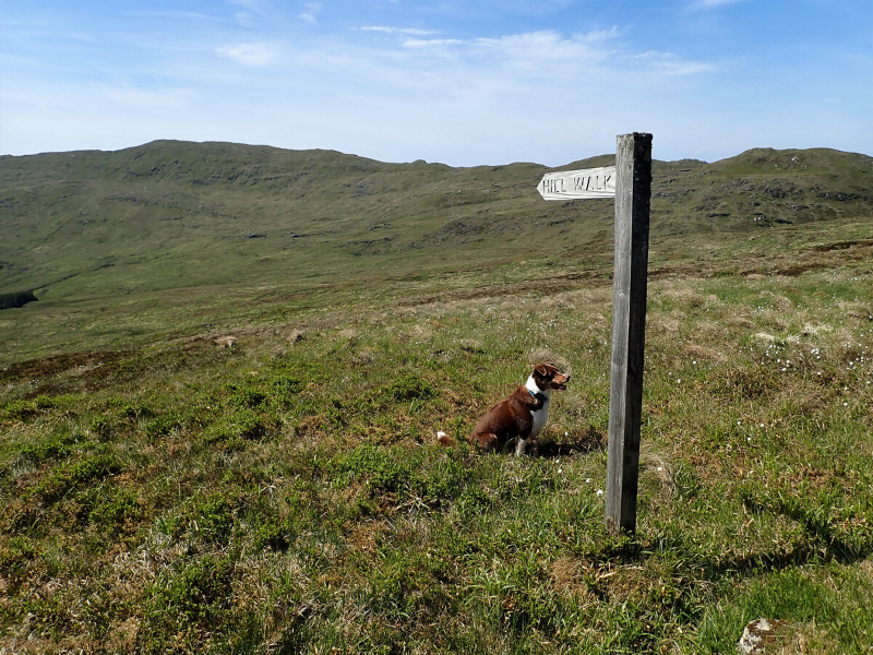 The-route-to-Stob-Odhar-from-the-east-Copyright-Heathery-Heights