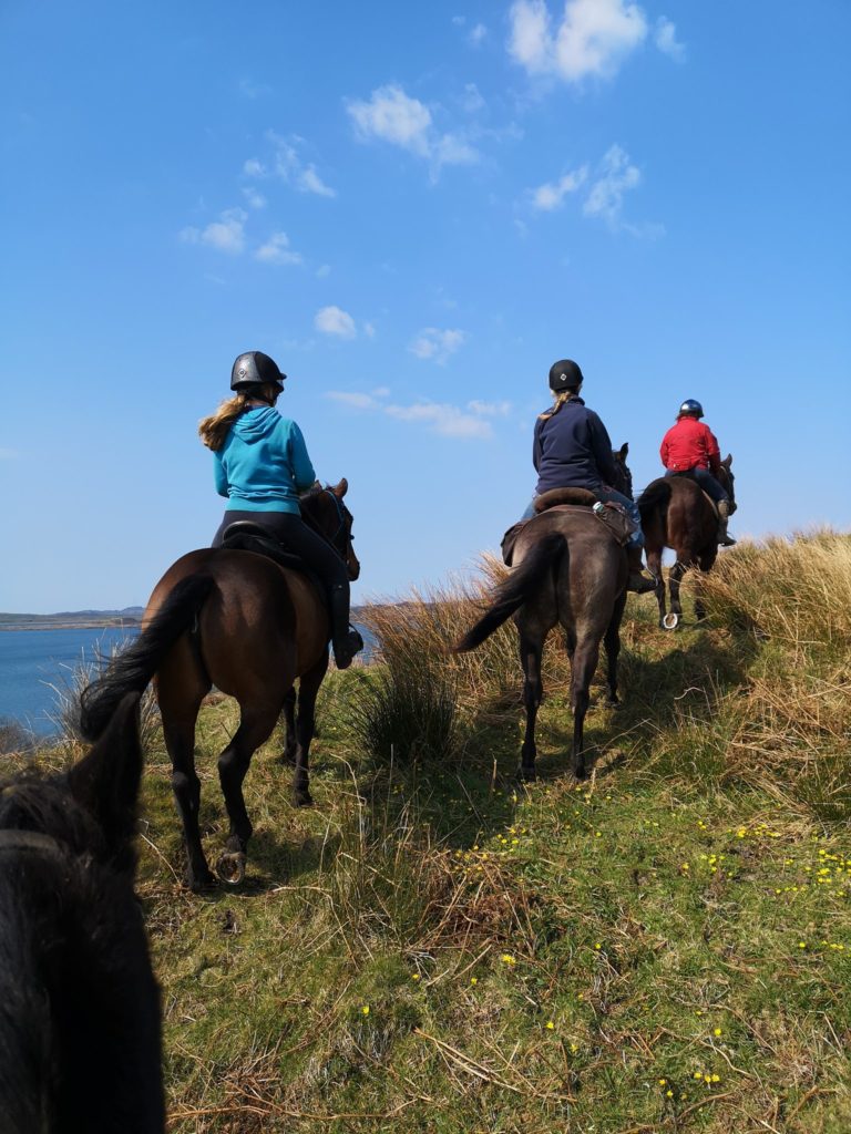 Lunga Ranch Riding 768x1024